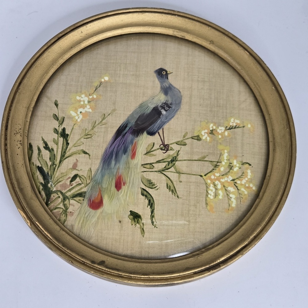 VTG Feather Art Bird Framed Wall Decor Bubble Glass Mid Century Gold Frame Round